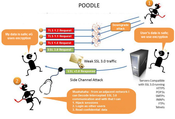 What is SSL 3.0 vulnerability?