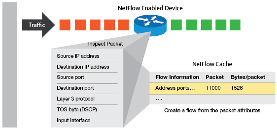 Netflow record format shows a flexible way to record network performance data.