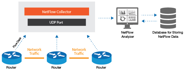 NetFlow Collector is a device that collects exported flow data