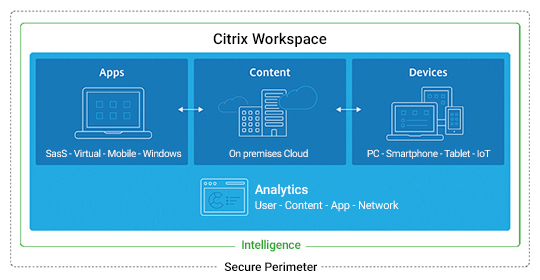 Citrix Digital Workspace monitoring diagram