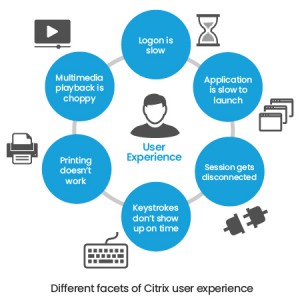 Diagram showing how CPYY, memory, disk and hardware all work together to deliver top Citrix performance.