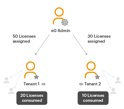Multi-tenant licensing model