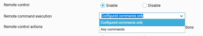 Using Any Commands Option
