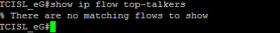 Output view without top talkers