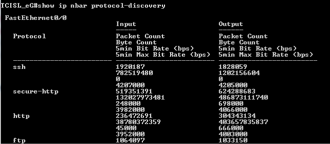 Output view showing successful NBAR protocol discovery