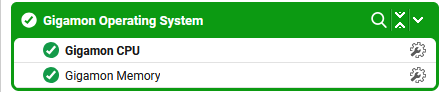 Gigamon Operating System Layer