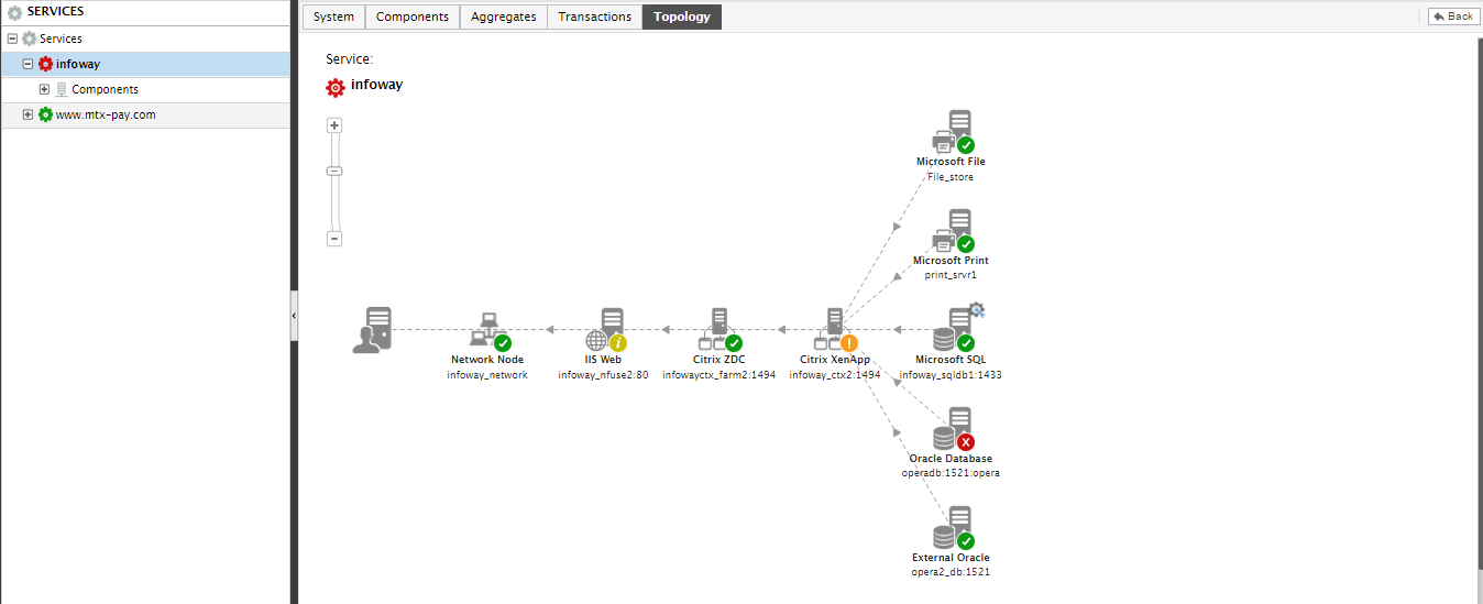 Viewing Topology of Chosen Service