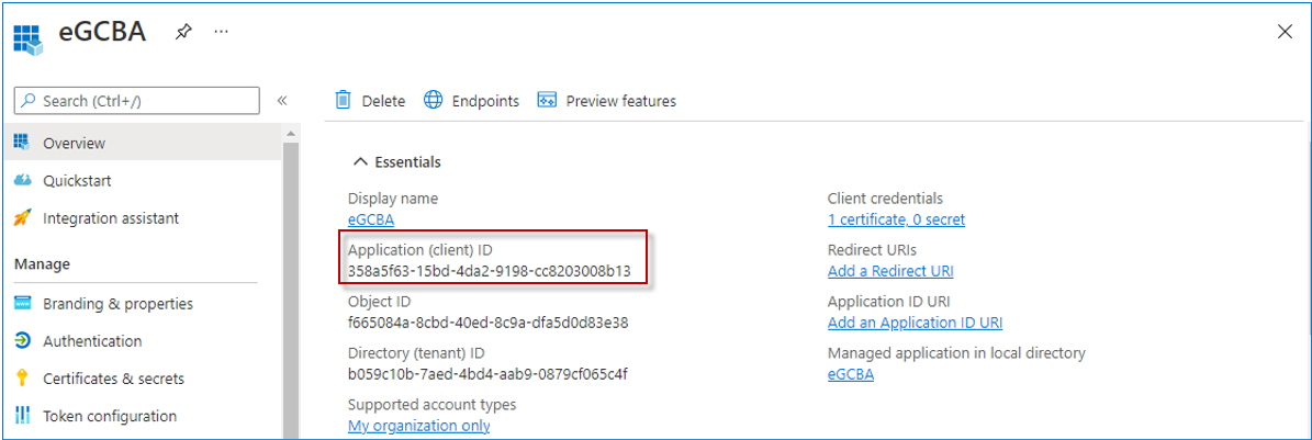 View Application Client ID