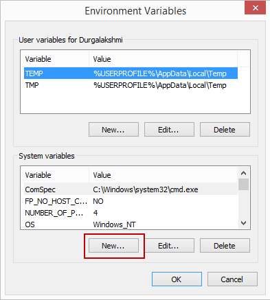Adding New Environment Variable