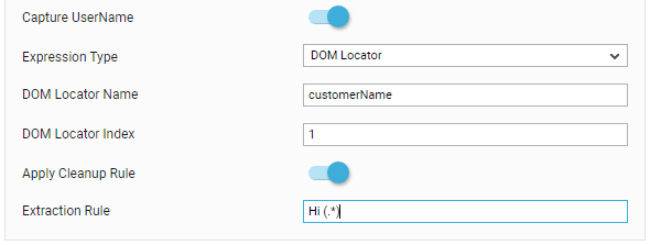 Capturing User Name Using DOM Locator