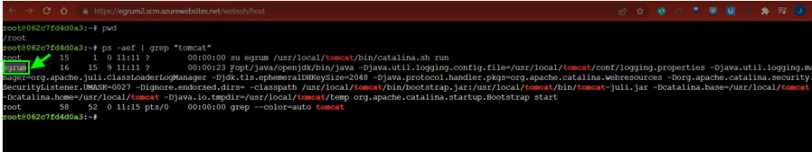 Command Output Listing Processes Running in Container