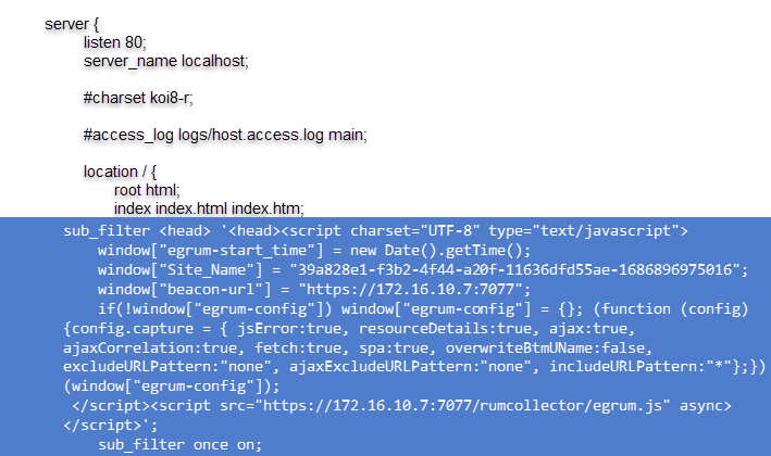 Editing nginx.conf File