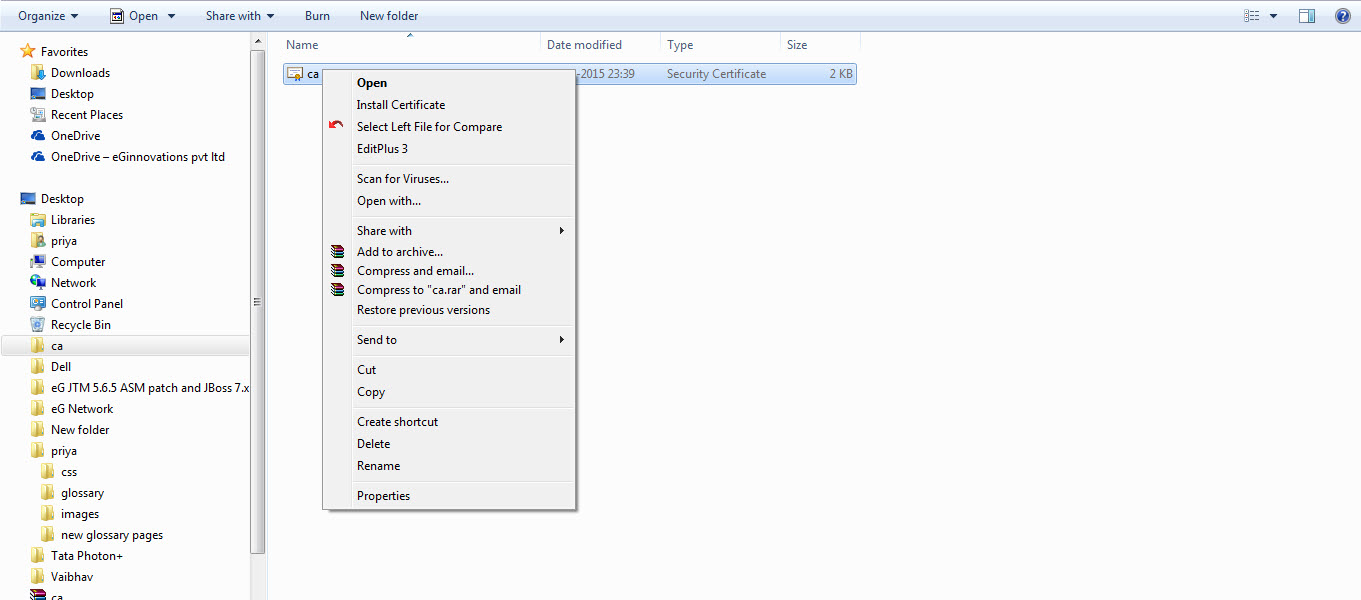 Selecting Option to install Certificate on Browser Host