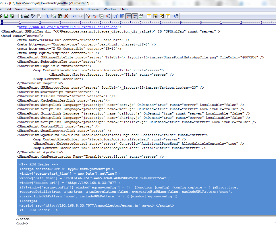 Inserting Javascript Code in Master File