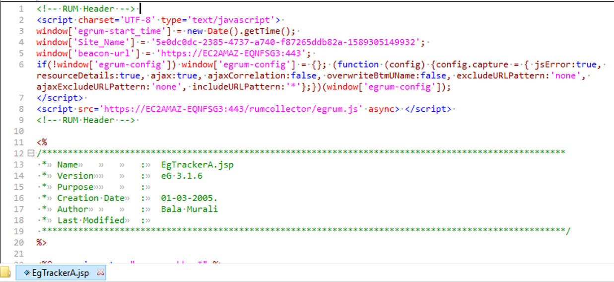 Inserting RUM Code Snippet at start of common include file