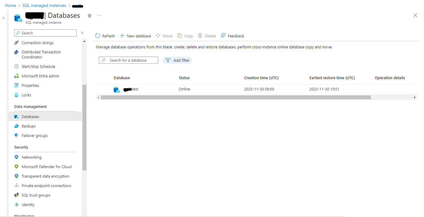 Database list pre-existing on Azure SQL Managed Instance