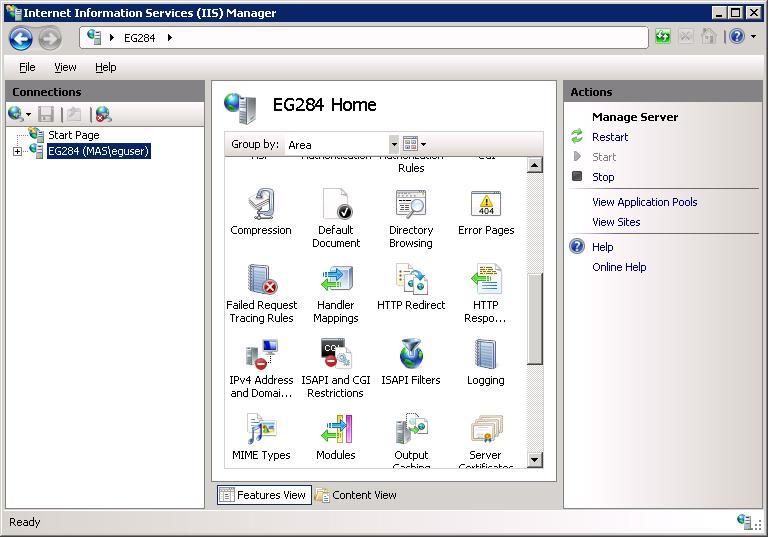  Node representing IIS web server in left pane of console