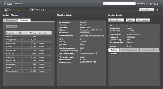 Synthetic monitoring capability for Citrix Director is very limited