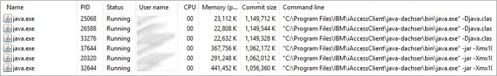 This example shows that the server was running with 11 users at that moment, and each user had 2 Java processes running, with Java committing 22 G