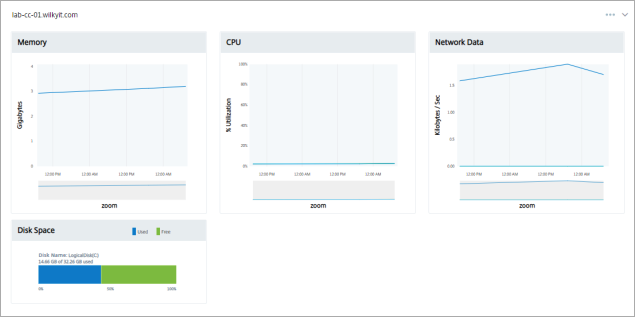 Citrix Monitoring Details Screen