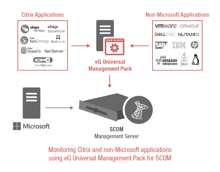 Citrix Management Pack eG Innovations