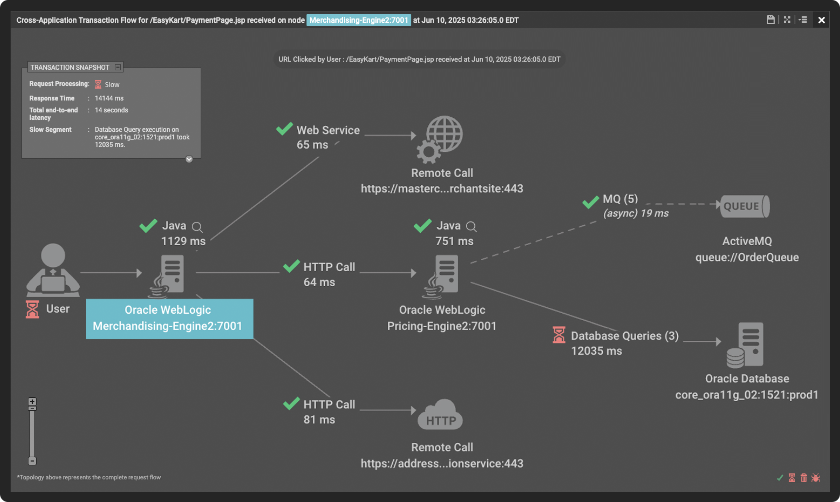 Application Performance Monitoring