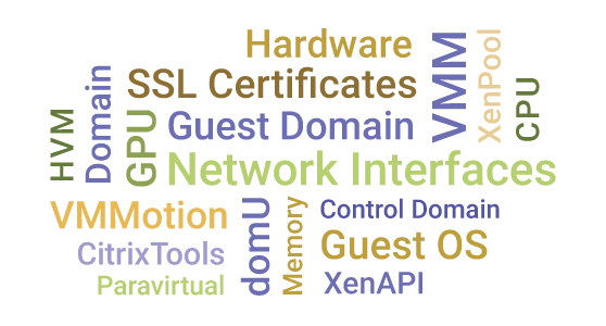 Citrix Hypervisors
