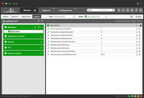 Nginx Server Health