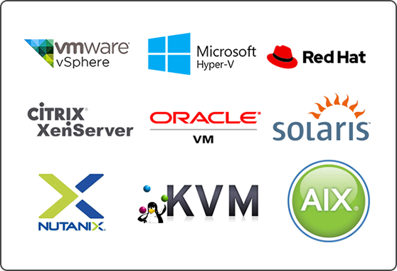 Deep Virtualization Monitoring